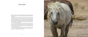 Coffee Table Book Collection | Wild Horses of the West