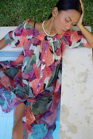 Rani Maxi Dress | Multi-Color Pelican Chiffon Print