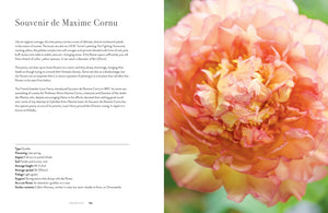 Coffee Table Book Collection | Peonies